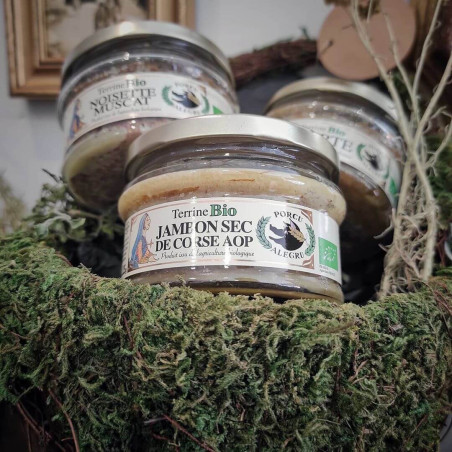 VINCENSINI ET FILS - Terrine BIO Jambon sec de Corse AOP | A Fiera