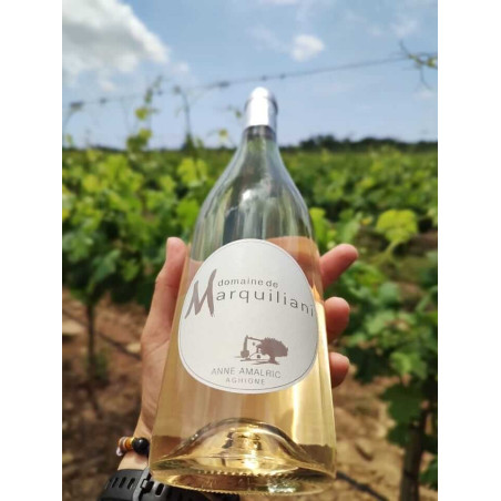 DOMAINE DE MARQUILIANI - Vin Rosé Gris Anne Amalric Aghione | A Fiera