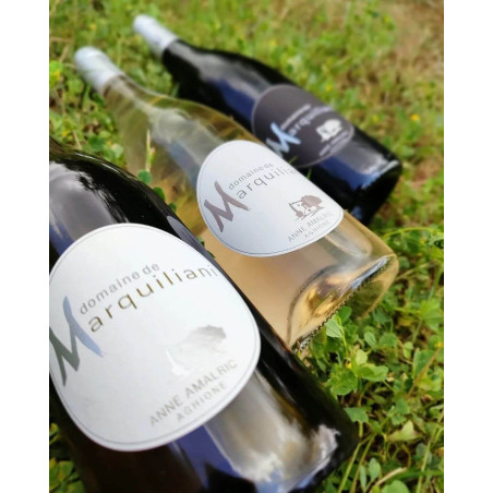 DOMAINE DE MARQUILIANI - Vin Blanc Anne Amalric Aghione | A Fiera