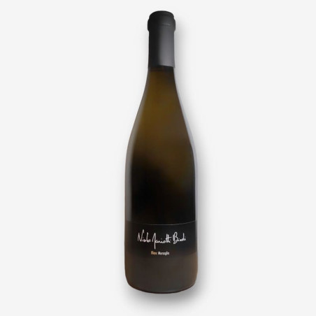 NICOLAS MARIOTTI BINDI - Vin Blanc Cuvée Mursaglia | A Fiera