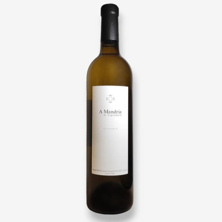 CLOS SIGNADORE - Vin Blanc A Mandria | A Fiera