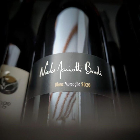 NICOLAS MARIOTTI BINDI - Vin Blanc Cuvée Mursaglia | A Fiera