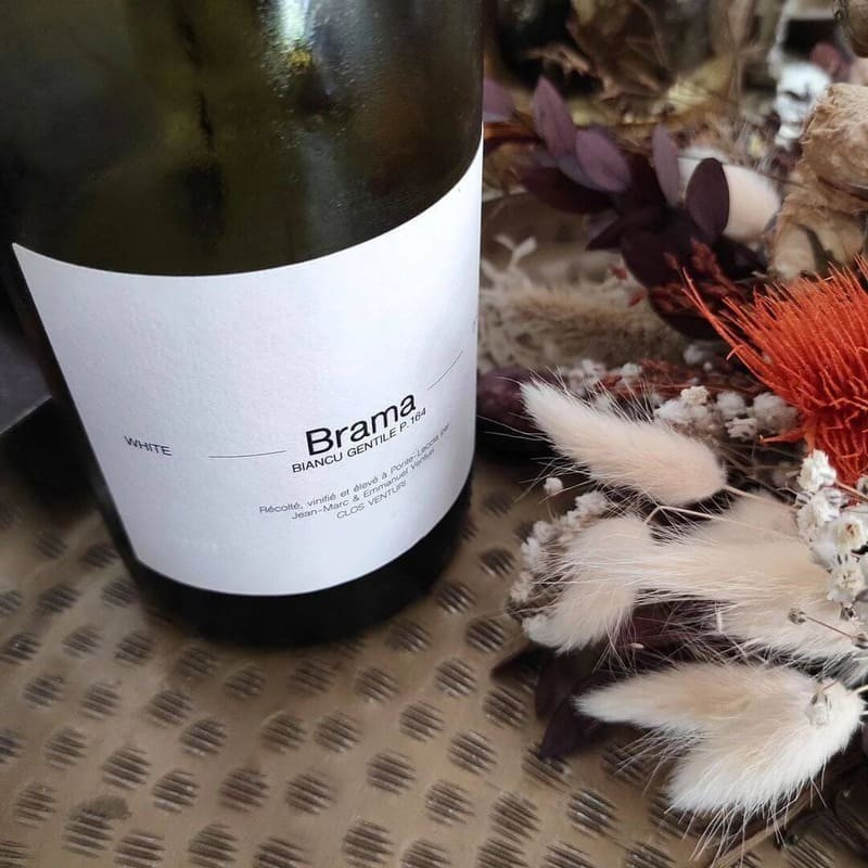 CLOS VENTURI - Vin Blanc Brama Biancu Gentile | A Fiera