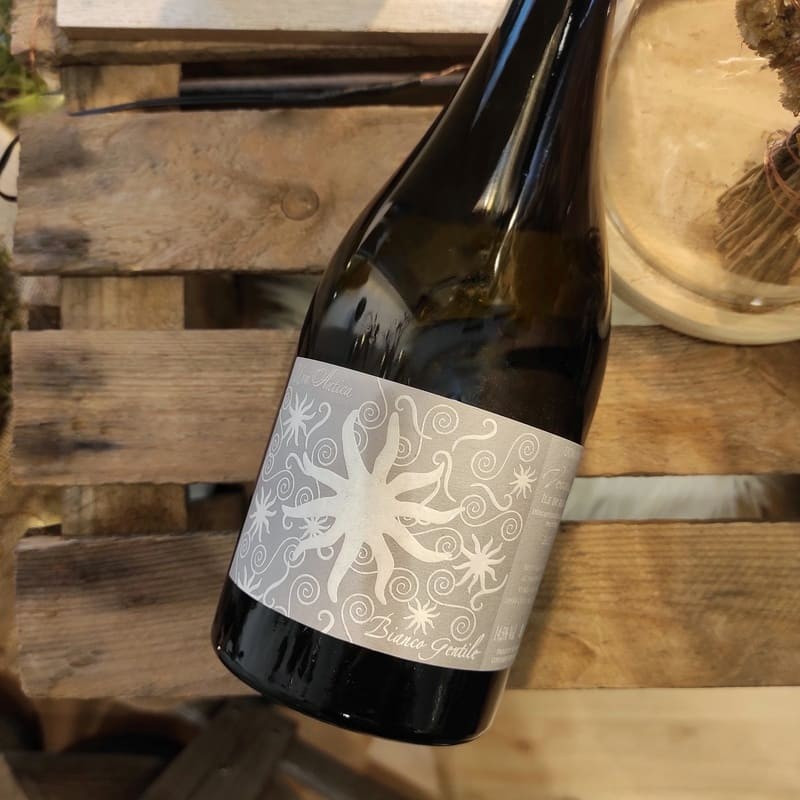 DOMAINE VECCHIO - Vin Blanc Uva Antica Bianco Gentile | A Fiera