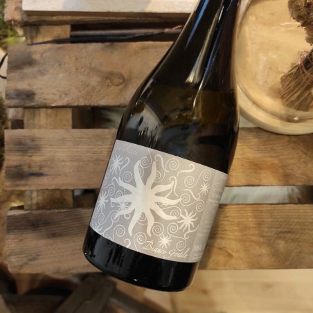 DOMAINE VECCHIO - Vin Blanc Uva Antica Bianco Gentile | A Fiera