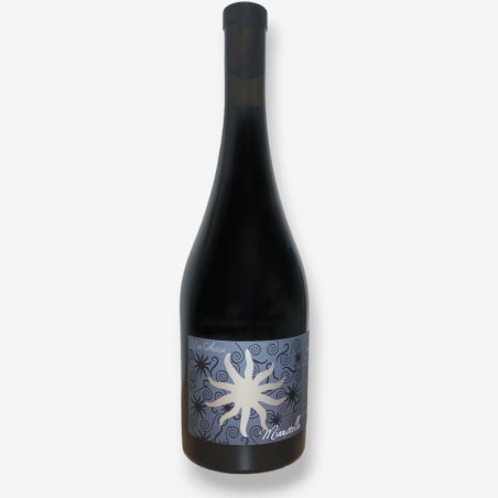 DOMAINE VECCHIO - Vin Rouge Uva Antica Minustellu | A Fiera