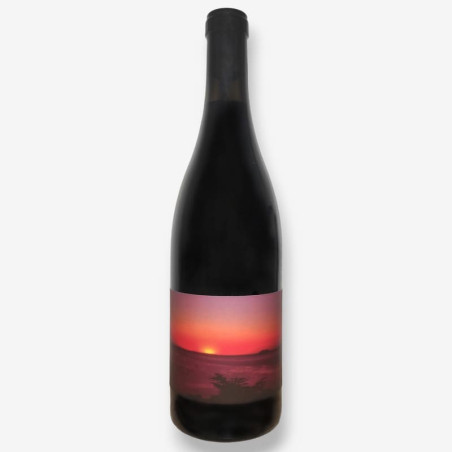 NICOLAS MARIOTTI BINDI - Vin Rouge Cuvée Albore | A Fiera