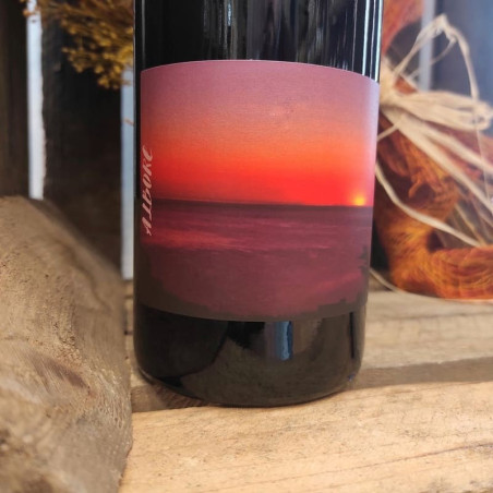 NICOLAS MARIOTTI BINDI - Vin Rouge Cuvée Albore | A Fiera