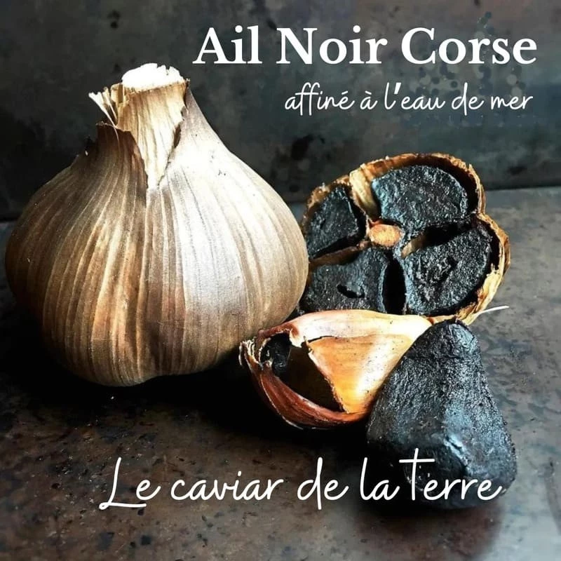 AROMI CORSI - Coulis Pur Ail noir confit | A Fiera
