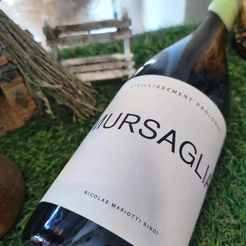 NICOLAS MARIOTTI BINDI - Vin Blanc Cuvée Mursaglia VP | A Fiera