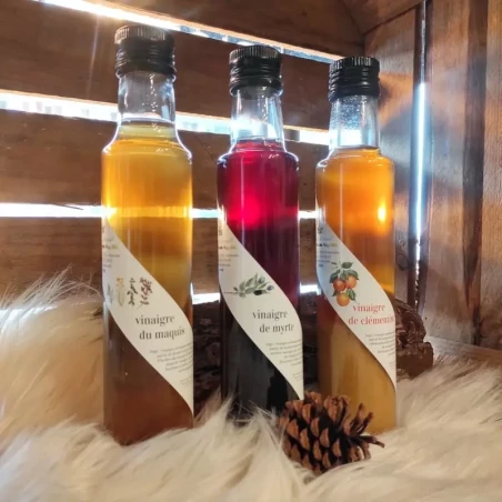LES JARDINS D'ALESANI - Vinaigre de myrte sauvage 25 cl | A Fiera