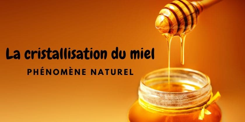 Le saviez-vous... La cristallisation du miel