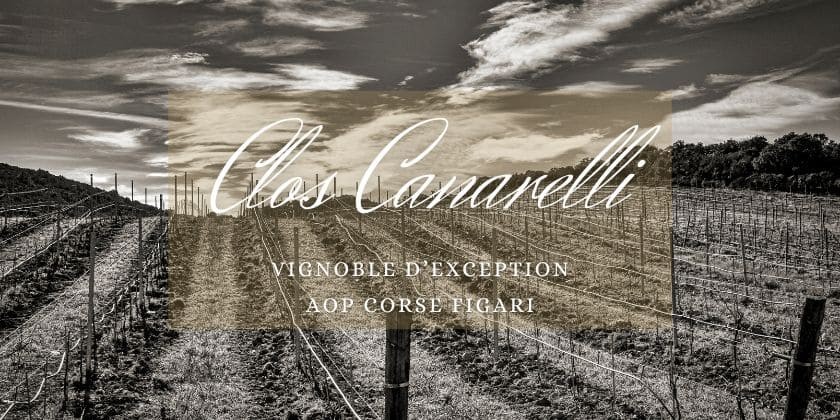 À la découverte de nos artisans... Le Clos Canarelli