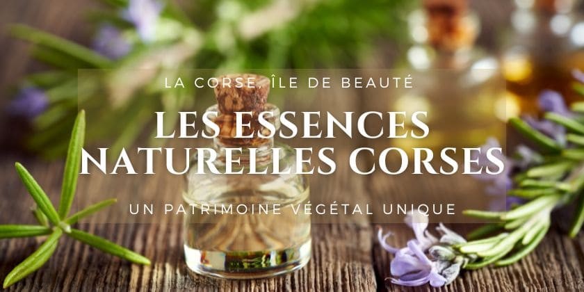Le saviez-vous... Les essences naturelles de Corse