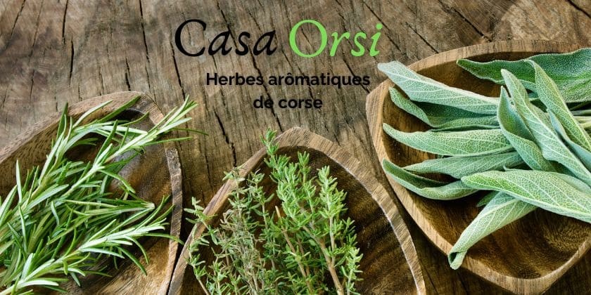À la découverte de nos artisans... Casa Orsi