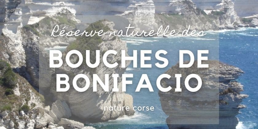 Da scopre... Réserve naturelle des Bouches de Bonifacio