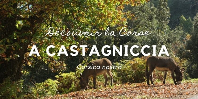 Da scopre... A Castagniccia