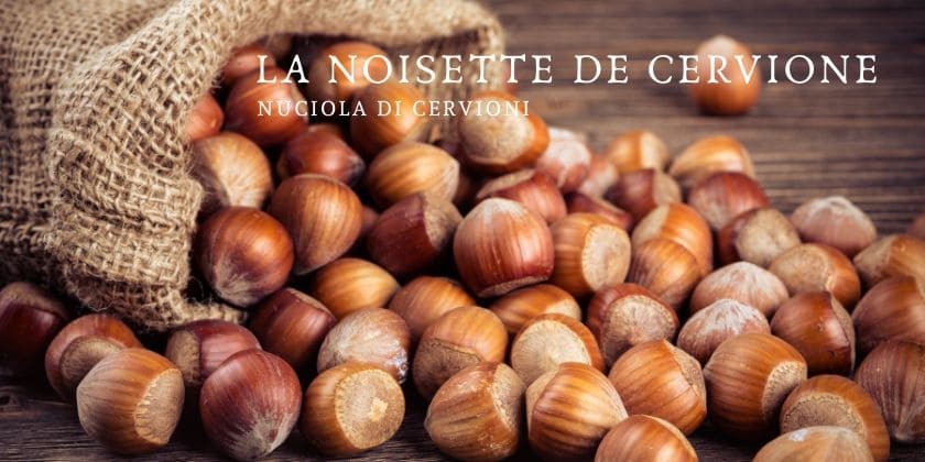Le saviez-vous... La noisette de Cervione