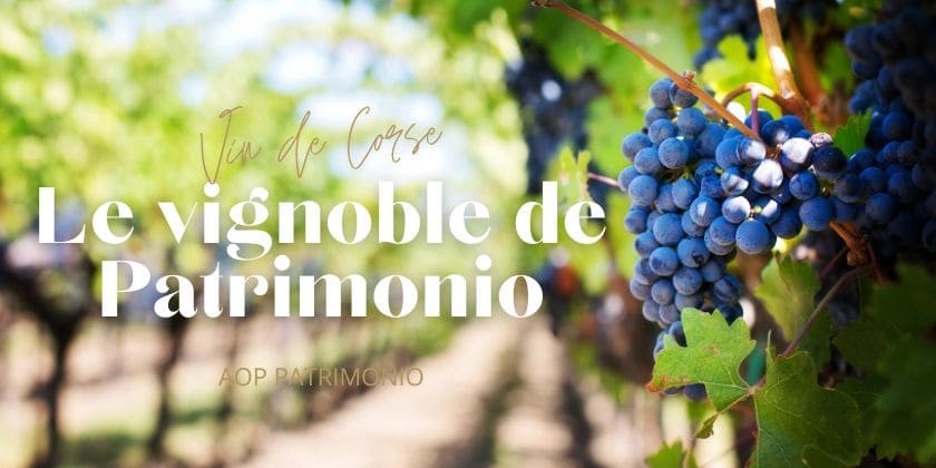 Le saviez-vous... Le vignoble de Patrimonio