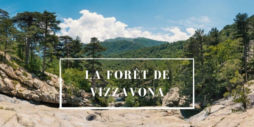 Da scopre... La forêt de Vizzavona