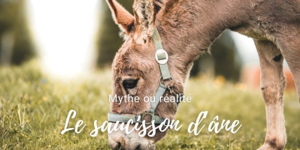 Le saviez-vous... Le saucisson d'âne, mythe ou réalité
