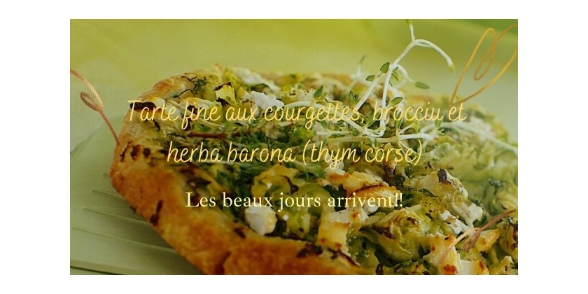 Cucina Corsa... Tarte fine aux courgettes, brocciu et herba barona (thym corse)