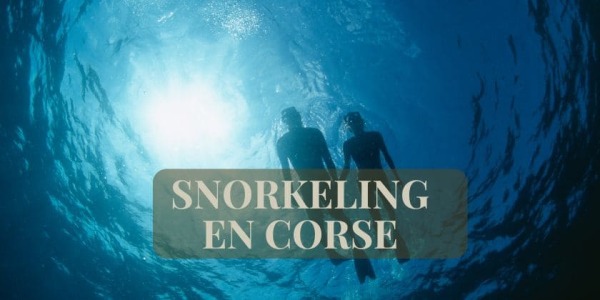 Corsica aventure... Snorkeling en Corse
