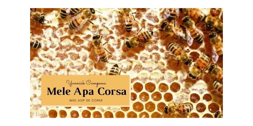 À la découverte de nos artisans... Yannick Campana, apiculteur passionné de Corse