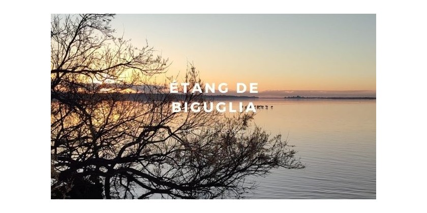 Da scopre... L'étang de Biguglia