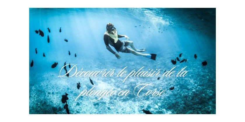 Corsica aventure... Plongée sous-marine en Corse