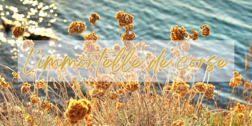 Da scopre... Immortelle de Corse