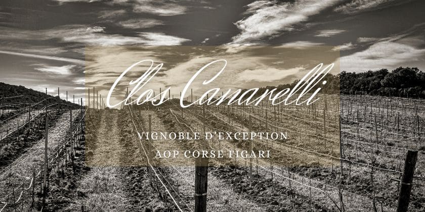 À la découverte de nos artisans... Le Clos Canarelli