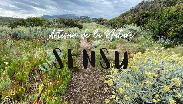 À la découverte de nos artisans... Sensu, un concentré d'arômes aux pouvoirs organiques.
