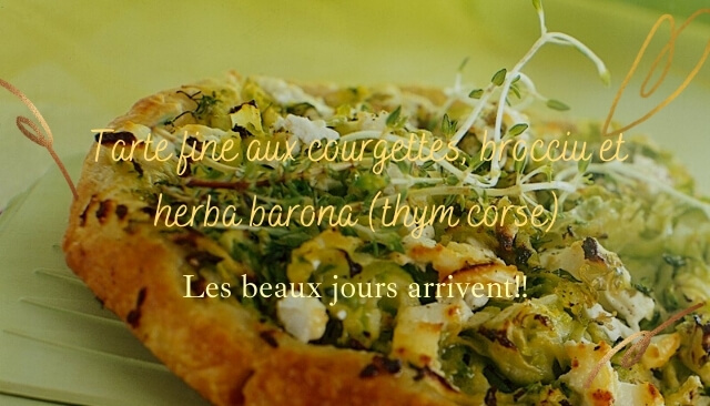 Cucina Corsa... Tarte fine aux courgettes, brocciu et herba barona (thym corse)