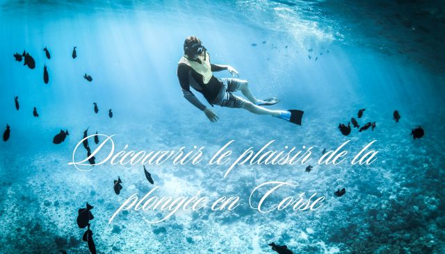 Corsica aventure... Plongée sous-marine en Corse