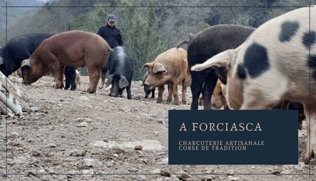 À la découverte de nos artisans... A Forciasca, tradition charcutière corse
