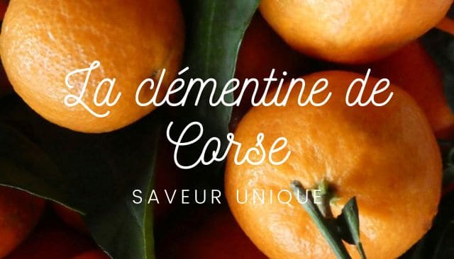 Le saviez-vous... La clémentine de Corse